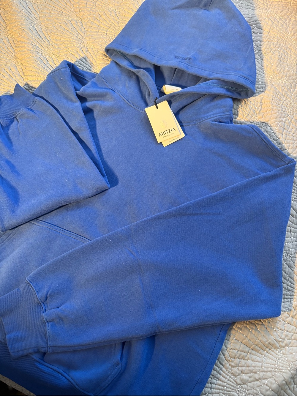 Aritzia Women’s Blue Hooded Sweatshirt